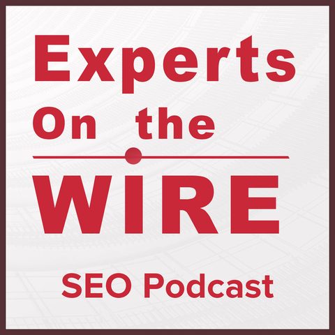 Experts on the Wire cover art